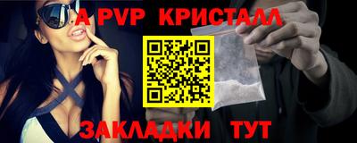 шишки Кингисепп