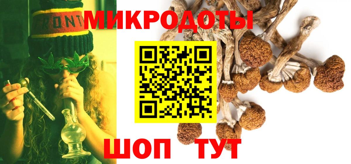 Псилоцибиновые грибы ЛСД  продажа наркотиков  Ялуторовск  Вход с VPN 