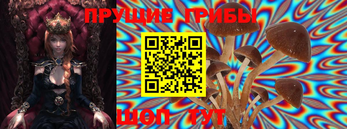 Псилоцибиновые грибы MAGIC MUSHROOMS Ялуторовск